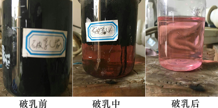 1489473724137909.jpg